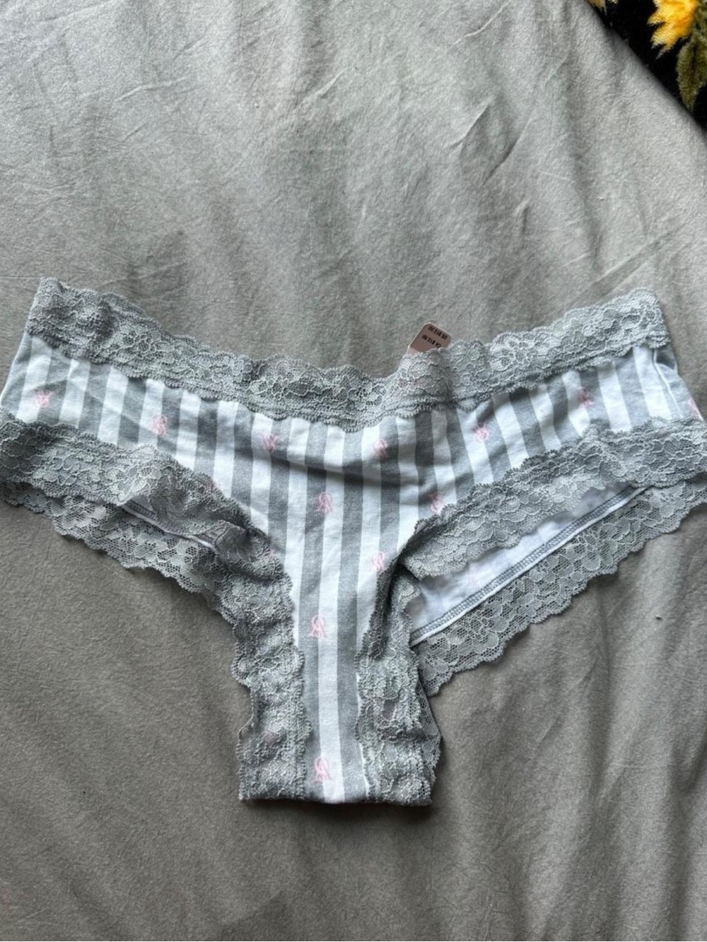 Victoria's Secret Gray & White Striped Lace Hipster Panty with Pink Accents
